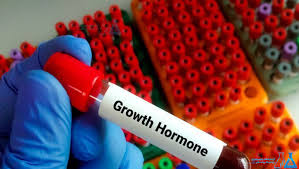 Growth Hormone